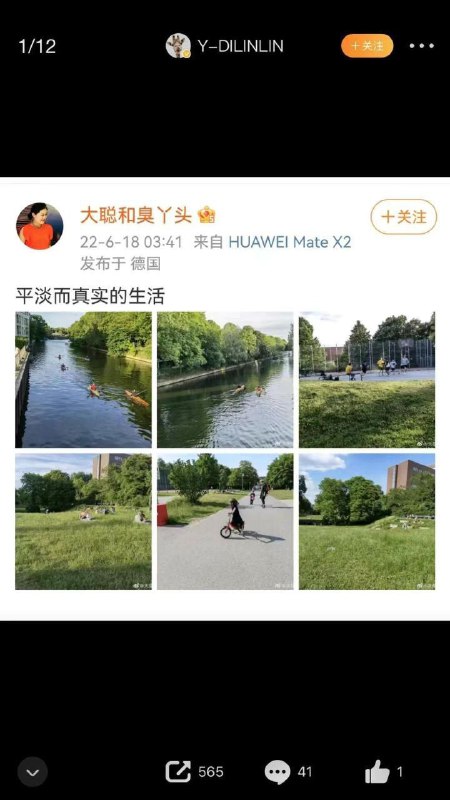 德国明着乐，蛆国偷着乐By