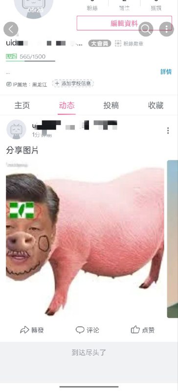 很喜歡的動態，謝謝up主發佈
