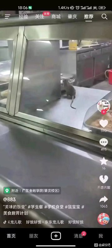 健康美味的饭堂+憨态可掬的鸭宝宝+颐使气指的辅导员投稿By