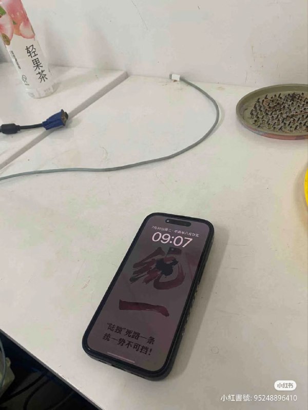 小红书上缅怀蒋公 反共复国By