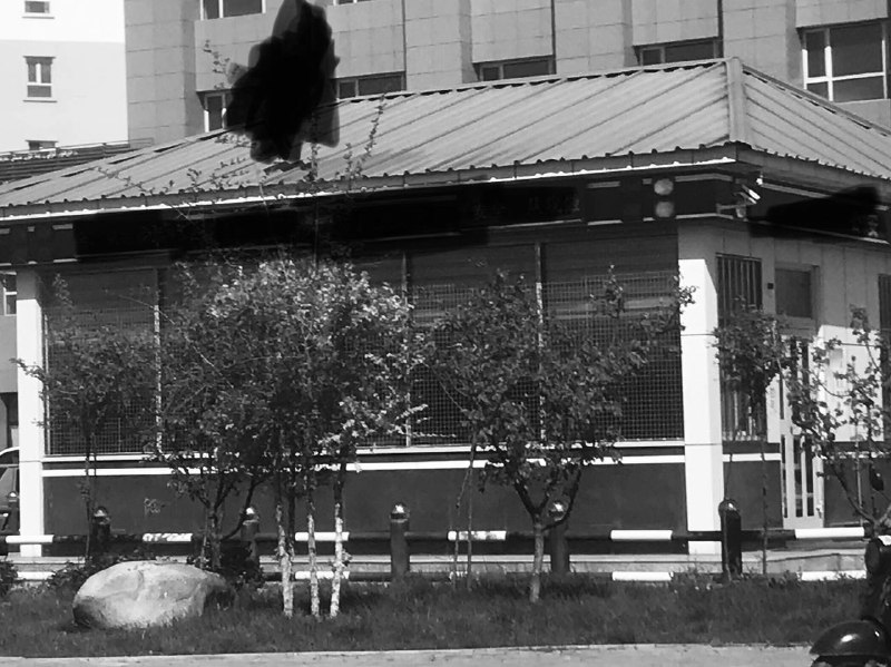 「1984」Xinjiang CampsBy