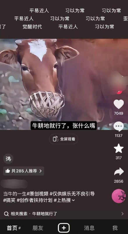 现在我每天都能收到起