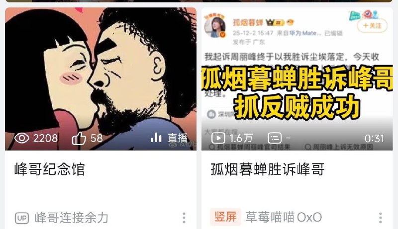 知名爱国博主、粉红外宣抗把子