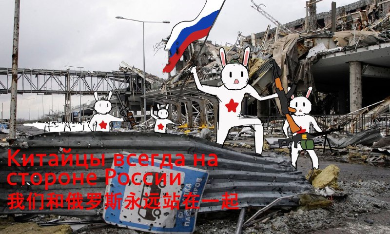 «🐰 友 狂 想 曲»