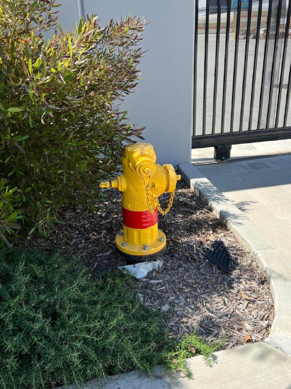 捏妈妈的，随手拍的照片做头像都要封号是吧？By