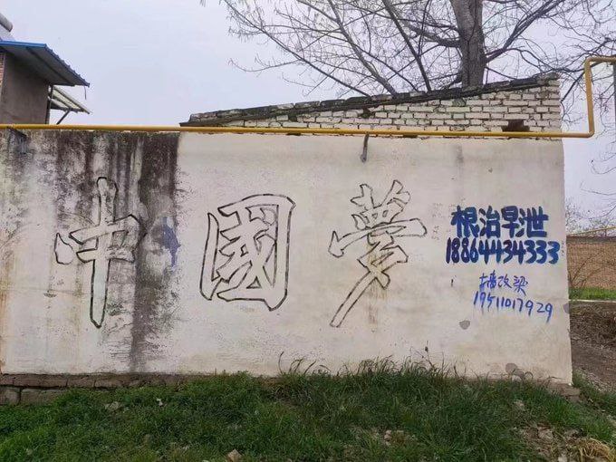 我的龙根 能屈能伸投