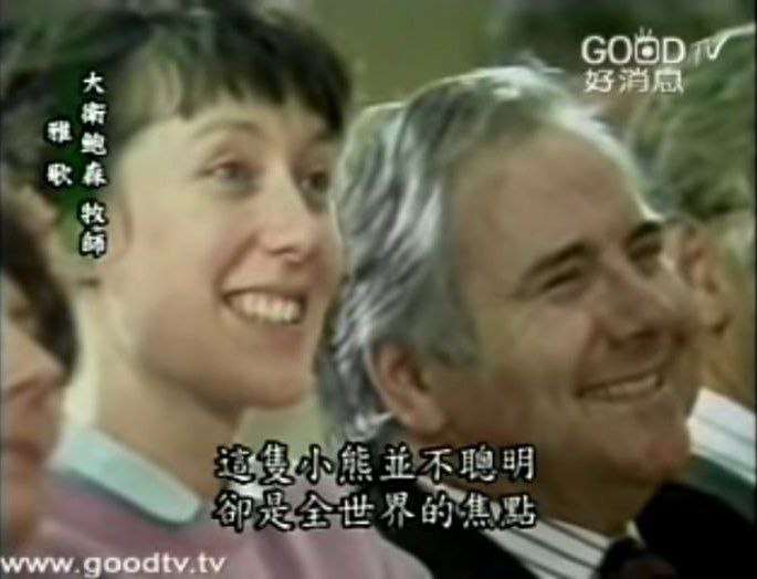 你说哪只熊?😁投稿By