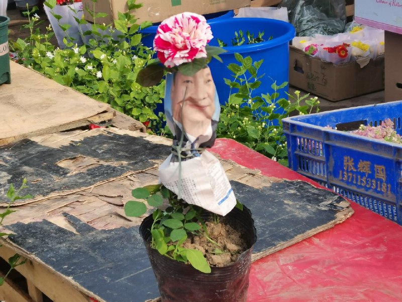 欣欣向荣的主席🌷By