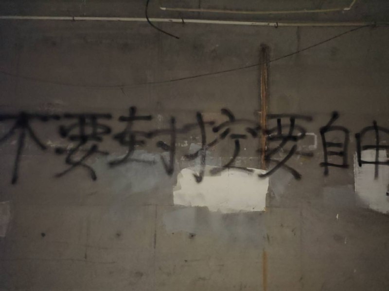 匿名投稿，天津某天桥桥洞#厕所革命#我看到了