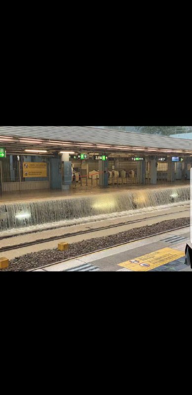 什么水上迪士尼By