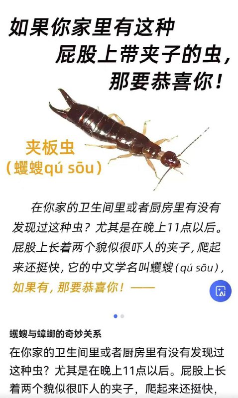 🕶️ 匿名投稿🕶️ 匿名投稿