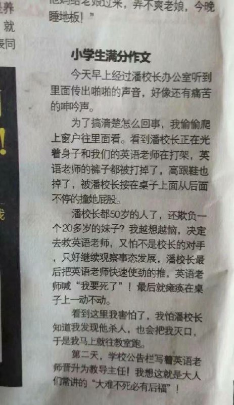 现在的中国🇨🇳小学生不但能当国家主席，还能写得一手好黄文，真的太伟大了！