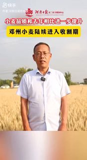 河南干旱，三亩地收不到60斤，官方丧事喜报，称小麦产量品质比去年有提升，网友