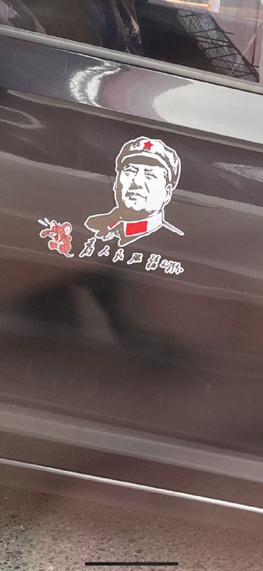 神兔难辨🤔神兔难辨🤔