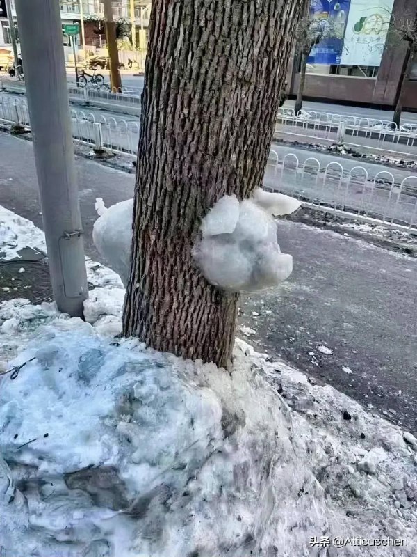 不知哪位忠臣良将给圣上塑了个像via CCP bandit