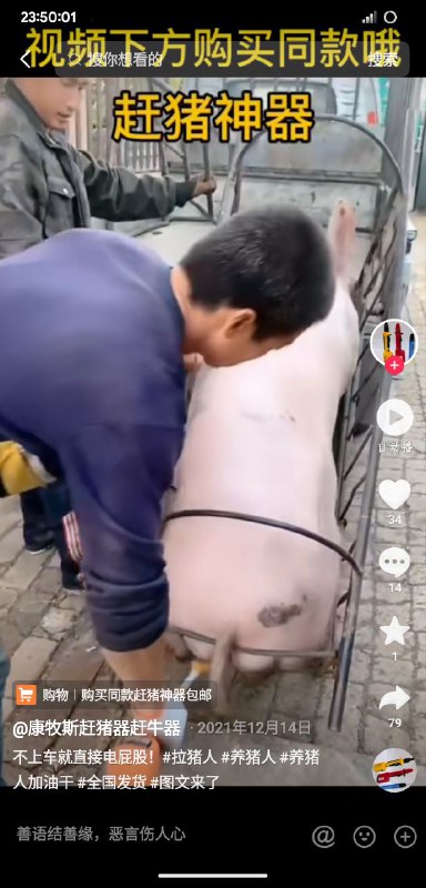 中国人民有福了😋😋😋投稿By