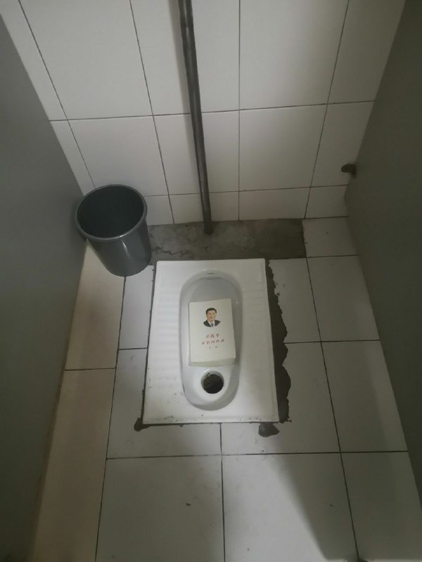 為疏通腸胃問題指明了方向投稿By