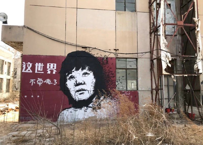 据说两会要解决铁链女问题，方案如上据说两会要解决铁链女问题，方案如上