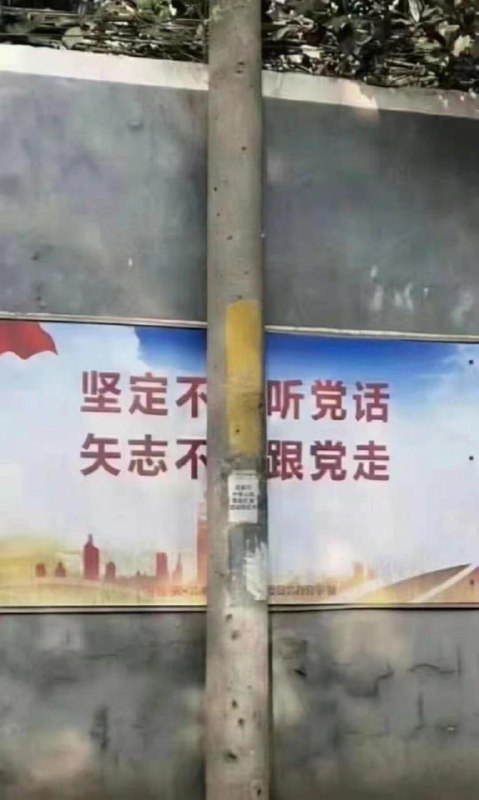 😎 匿名投稿