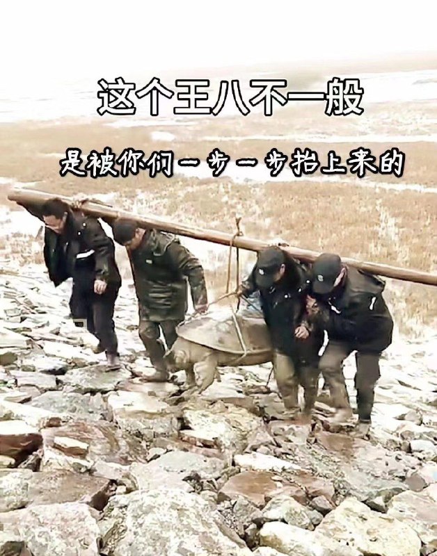 哪个王八via CCP bandit