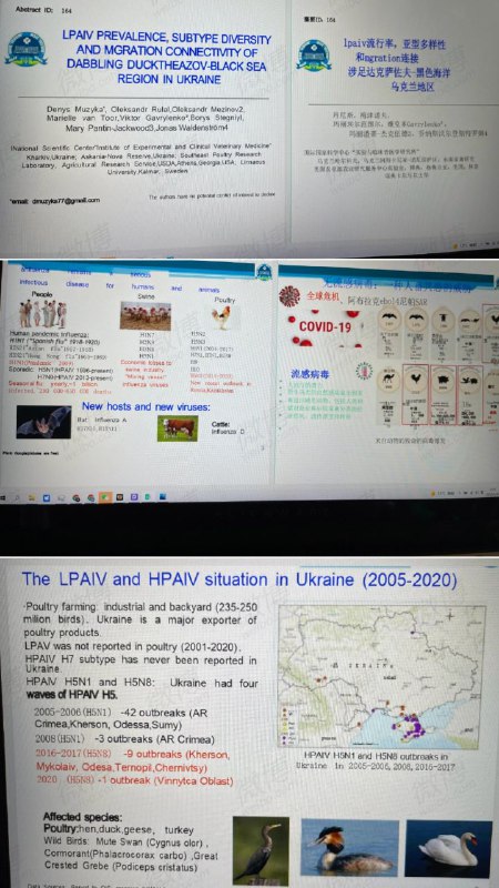 国内有人翻译了一下俄罗斯公布的乌克兰生物实验室文件，指出这就是很普通的研究报告