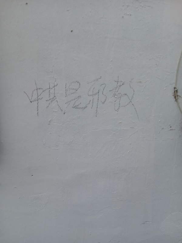 小区发现的#厕所革命