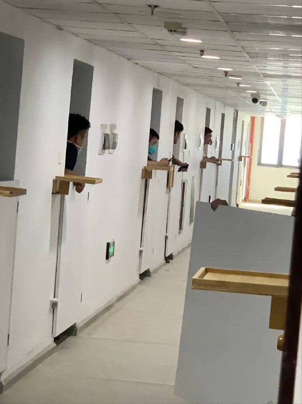 中共管理下的猪圈里的猪正等待投喂By