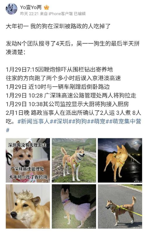 在小红书上大翻译这种