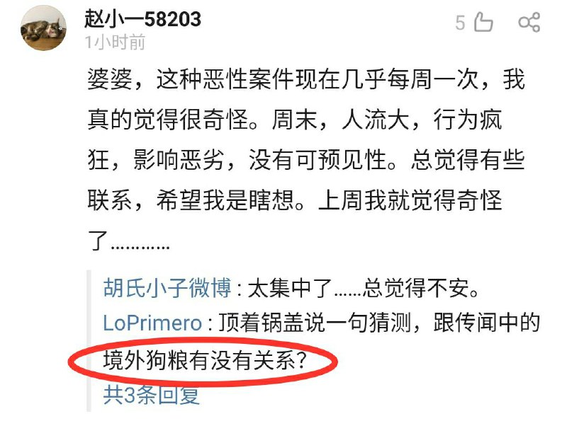 警惕拜登打狗粮悬赏献忠牌！警惕拜登打狗粮悬赏献忠牌！