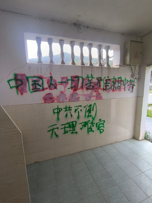 #大涂鸦运动#厕所革命江西某中学，厕所被涂鸦