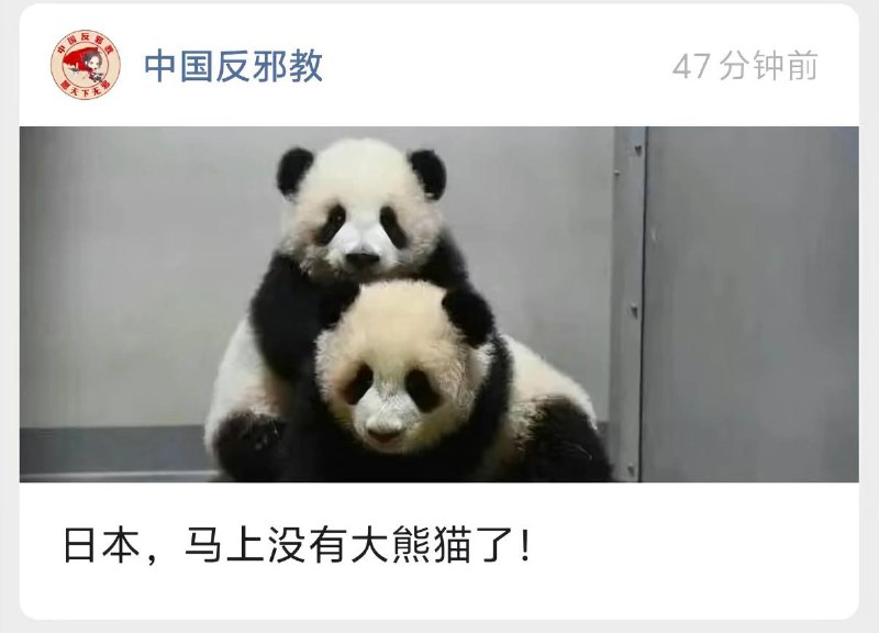 犯我中华者 不给熊猫玩🤬👤 来自