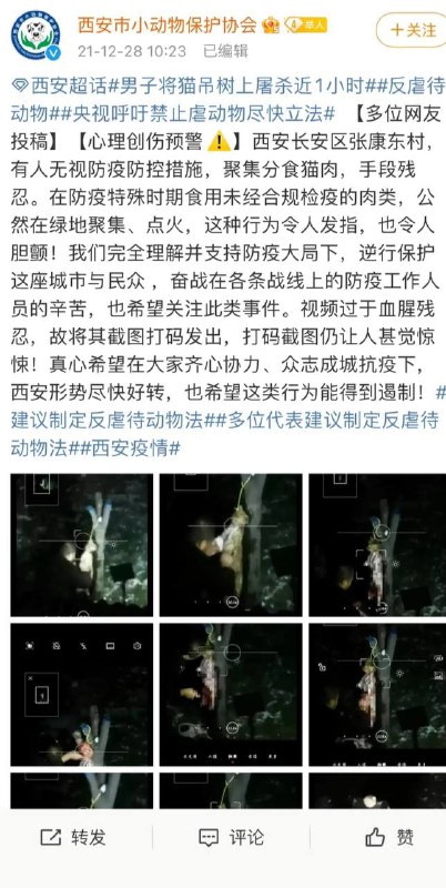 😅 #西安大吃飽