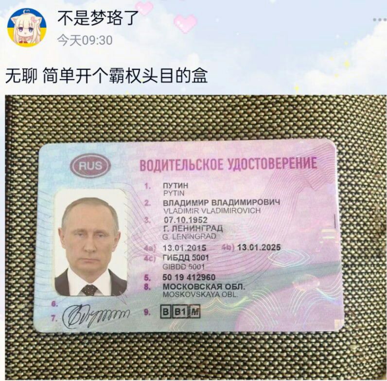 这下普爹出道了⏩#俄爹