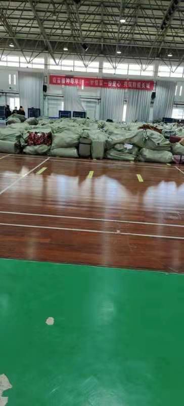 皮皮虾，咱们春游去！#我们中国真的是太厉害了皮皮虾，咱们春游去！#我们中国真的是太厉害了