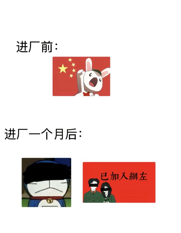兔友转行了，其实我早