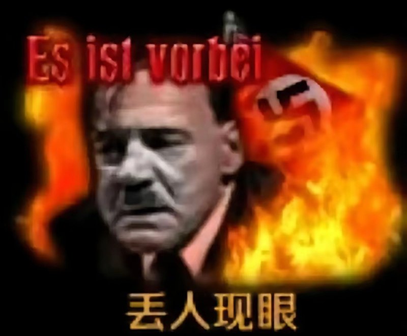 新皮肤