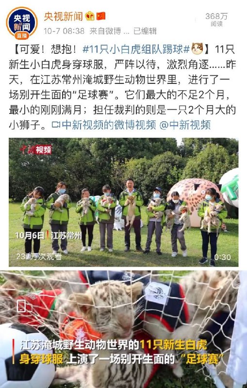 这就是中国🇨🇳这就是中国🇨🇳