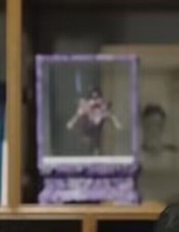 就连你也喜欢这些吗😁就连你也喜欢这些吗😁