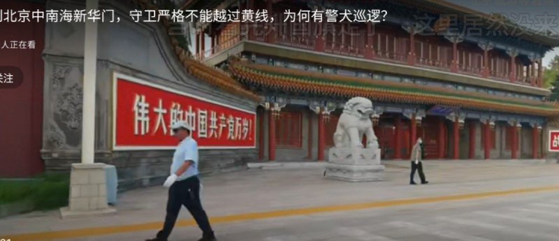 你说谁是警犬？By: