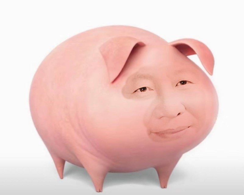 习近🐷😎 匿名投