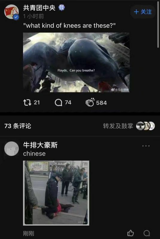 团团，团团，这是真的吗？