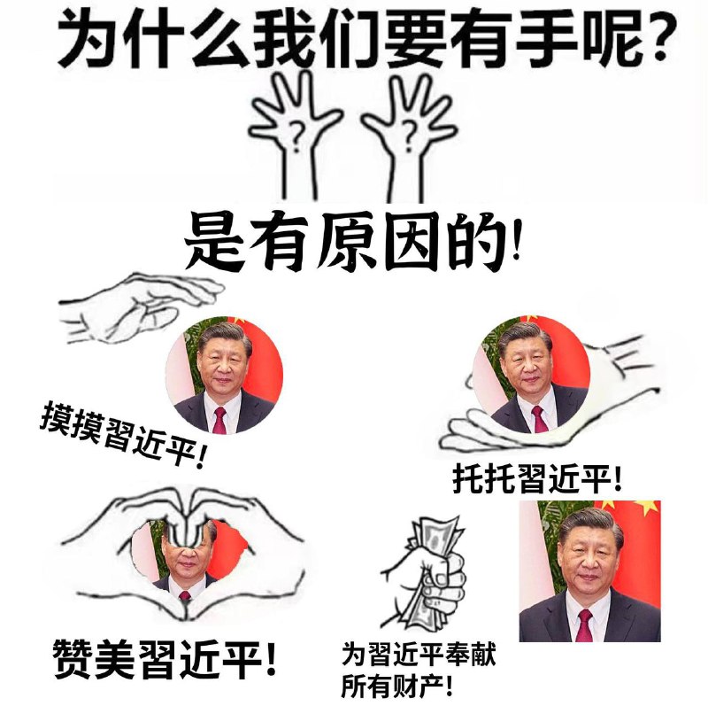 成为真正包蜜的四个原因👍投稿By