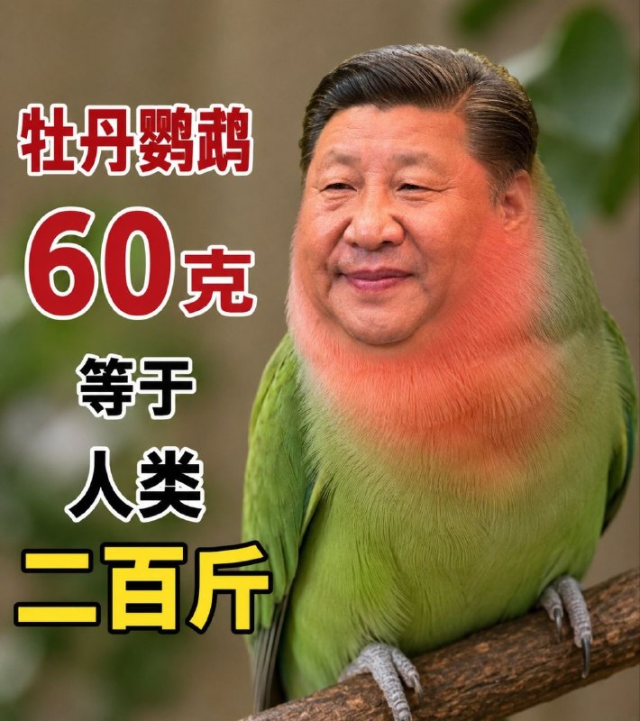 形象生動的比喻😎