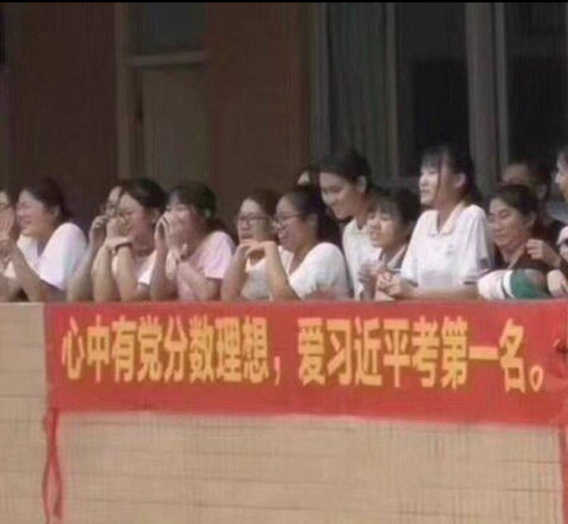 习包子欠做题蛆爱了�