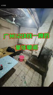 穷蛆日常投稿By