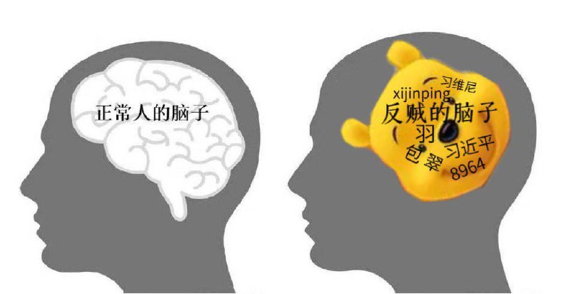 粉红思维By:匿名投