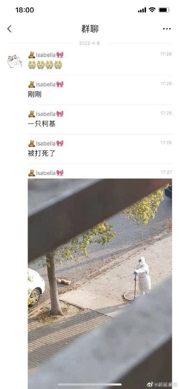 暖心！魔都防疫人员无害化处理柯基后用绝妙站姿致敬当年无害化处理南京市民的两位国际友人