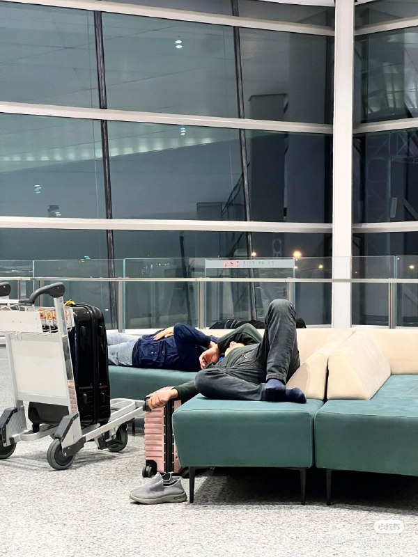 留子们来去自由😁留子们来去自由😁