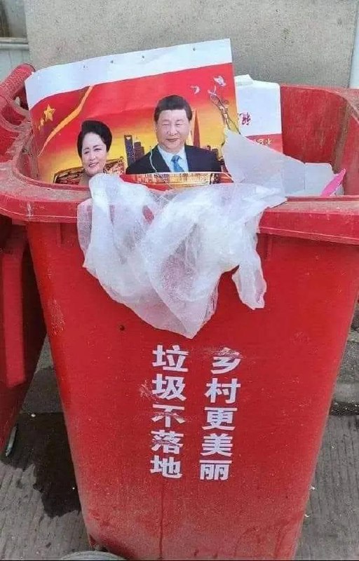 今天天气真好，阳光明