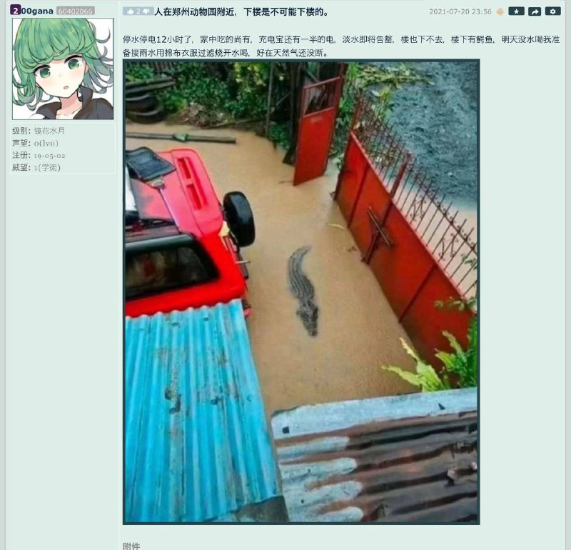 鳄鱼在他家楼下，他家住在郑州动物园附近